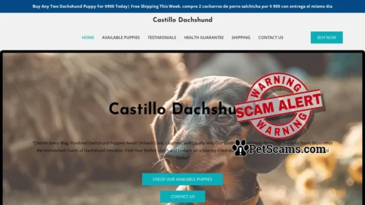 Scam Website: Castillo Dachshund – Purebred Dachshund Puppies For Sale