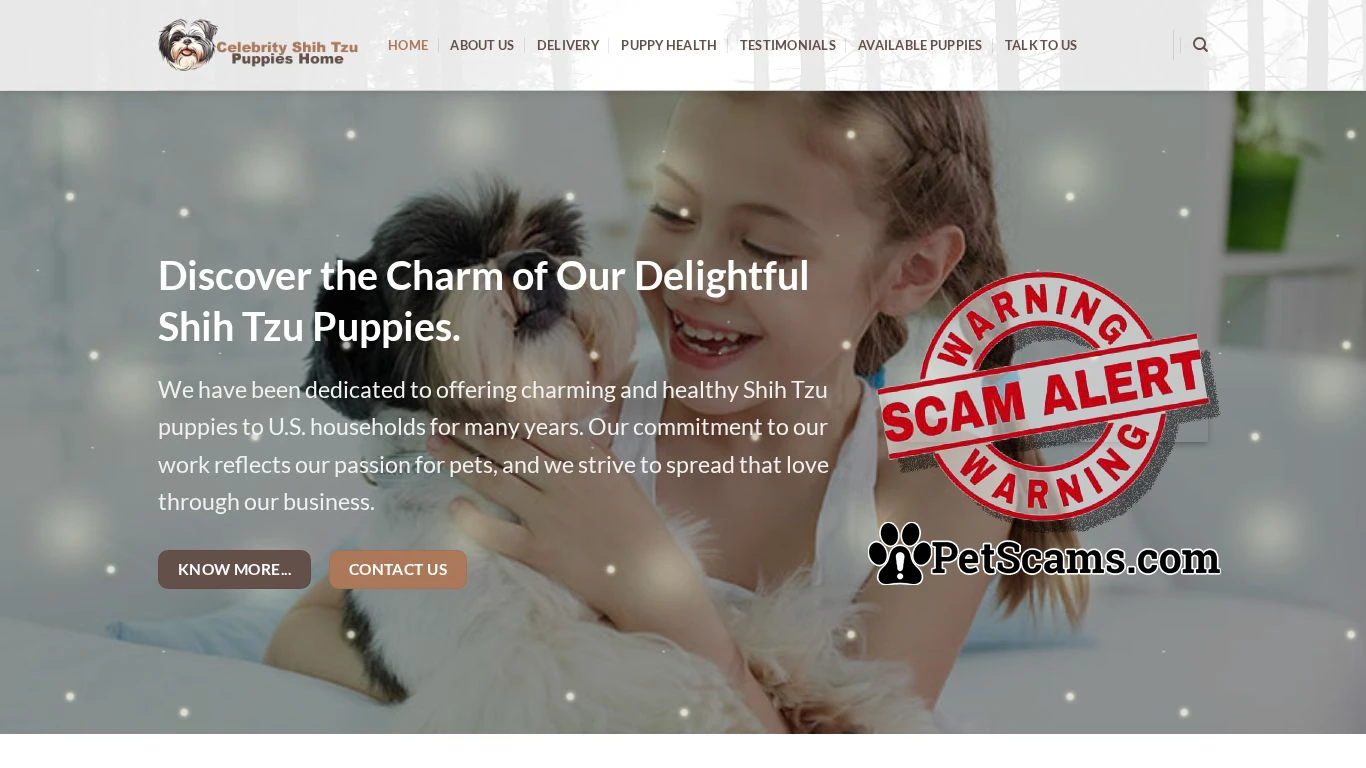is celebrityshihtzupuppieshome.com legit? screenshot