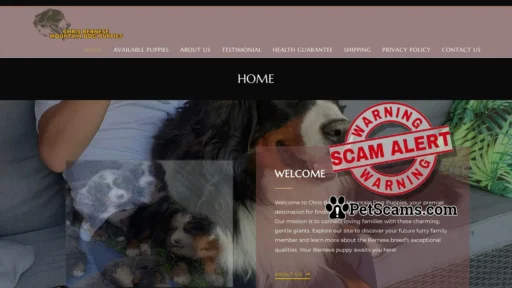 Scam Website: Bernese Mountain Dog Puppies For Sale - Chris Bernese Mountain Dog Puppies