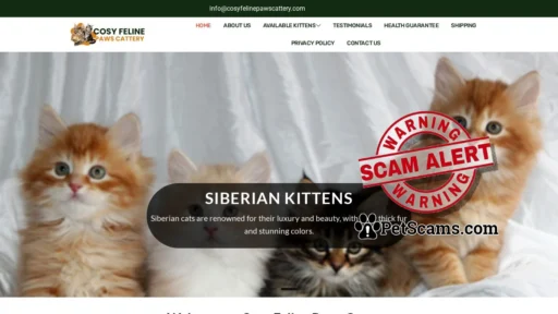 Scam Website: COSY FELINE PAWS CATTERY – Maine coon and Siberian kittens for sale