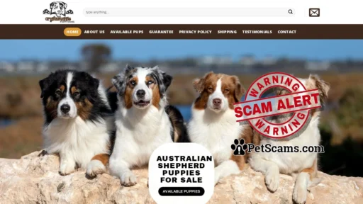 Scam Website: Crystal Australian Shepherd Puppy Home – Australian Shepherd | Australian Shepherd dog for sale| Australian Shepherd puppy for sale| Australian Shepherd puppies for sale| Australian Shepherd for sale| Australian Shepherd puppies for sale near me| Australian Shepherd puppies|miniature Australian Shepherd puppy for sale| Australian Shepherd for sale near me| Australian Shepherd puppy for adoption| Australian Shepherd dog for adoption| Australian Shepherd puppies price| Australian Shepherd dogs for sale| buy Australian Shepherd | Australian Shepherd puppies for adoption| Australian Shepherd pup| Australian Shepherd near me| Australian Shepherd puppies for sale price|Merle Australian Shepherd puppies for sale|Akc Australian Shepherd puppies|cheap Australian Shepherd puppies for sale| Buy Australian Shepherd puppies |female Australian Shepherd puppies for sale| buy Australian Shepherd puppy|Blue Merle Australian Shepherd for sale| miniature Australian Shepherd puppies|Red Merle Australian Shepherd for sale| Australian Shepherd puppy breeders|cheap Australian Shepherd puppies| Mini Australian Shepherd for sale|mini Australian Shepherd puppies|female Australian Shepherd for sale|where to buy a Australian Shepherd |purebred Australian Shepherd puppies for sale|where can i buy Australian Shepherd puppy| Toy aussie puppy for sale |Toy australian shepherd for sale |Mini Australian shepherd puppies for sale |mini australian sheperd dog for sale |toy australian shepherd dog for sale |standard australian shepherd for sale |standard australian shepherd puppies for sale |standard australian shepherd dog for sale near me |red merle australian sheperd for sale |red merle australian shepherd dogs for sale near me |blue merle aussie puppies for sale |blue merle australian shepherd puppies for sale |blue merle australian shepherd puppy for sale near me |teacup australian shepherd puppies for sale |teacup aussie puppy for sale |tiny aussie puppy for sale |full size aussie puppies for sale |toy australian shepherd for adoption |toy aussie puppy for adoption |toy aussie dog for adoption |mini aussie puppy for adoption |mini australian shepherd puppies for adoption |teacup aussie for adoption