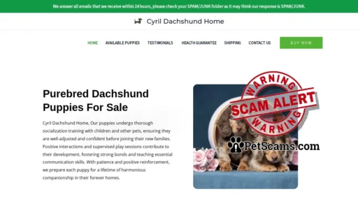 Scam Website: Cyril Dachshund Home – Purebred Dachshund Puppies For Sale