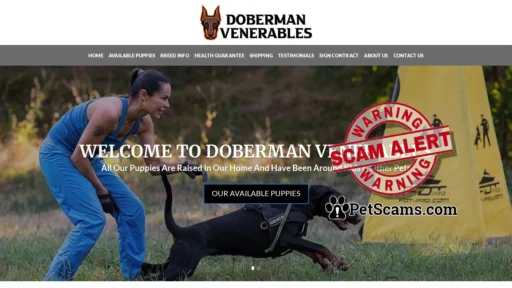 Scam Website: Doberman Venerables – Cute Doberman Puppies For Sale