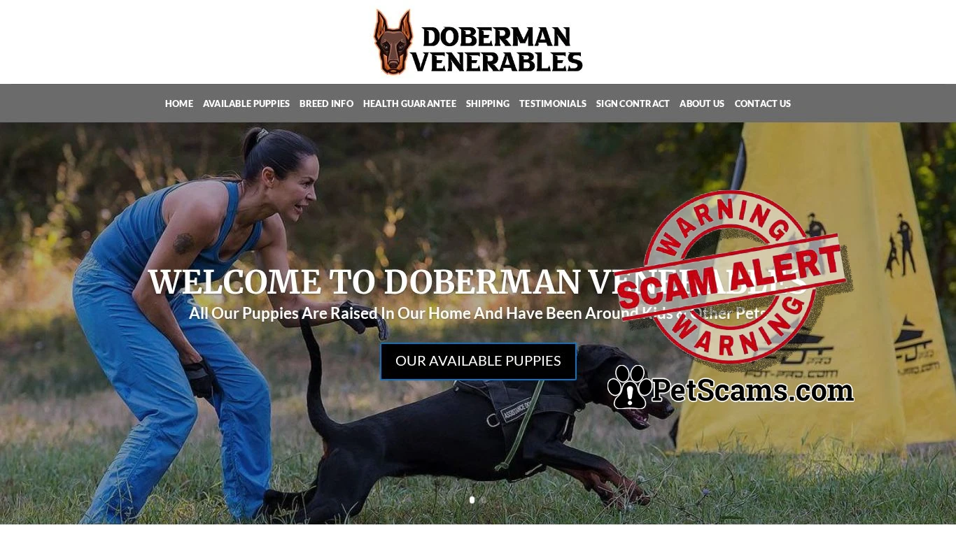 is Doberman Venerables – Cute Doberman Puppies For Sale legit? screenshot