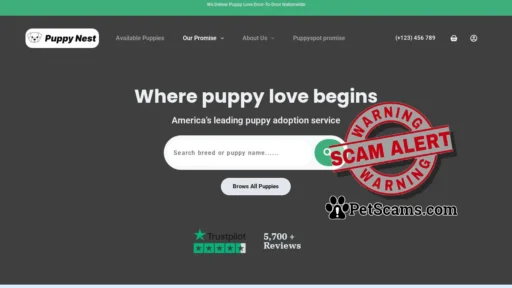 Scam Website: My Blog