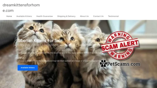 Scam Website: dreamkittensforhome.com