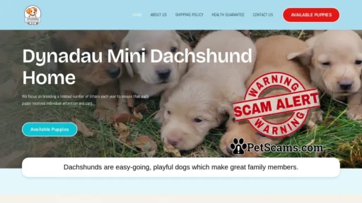 Scam Website: Dynadau Mini Dachshund Home – Looking for a Dachshund (Miniature Smooth Haired)? Explore our list of puppies.