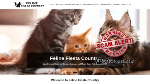 Scam Website: Feline Fiesta Country – Birman, Siamese, and Maine Coon Kittens for sale USA