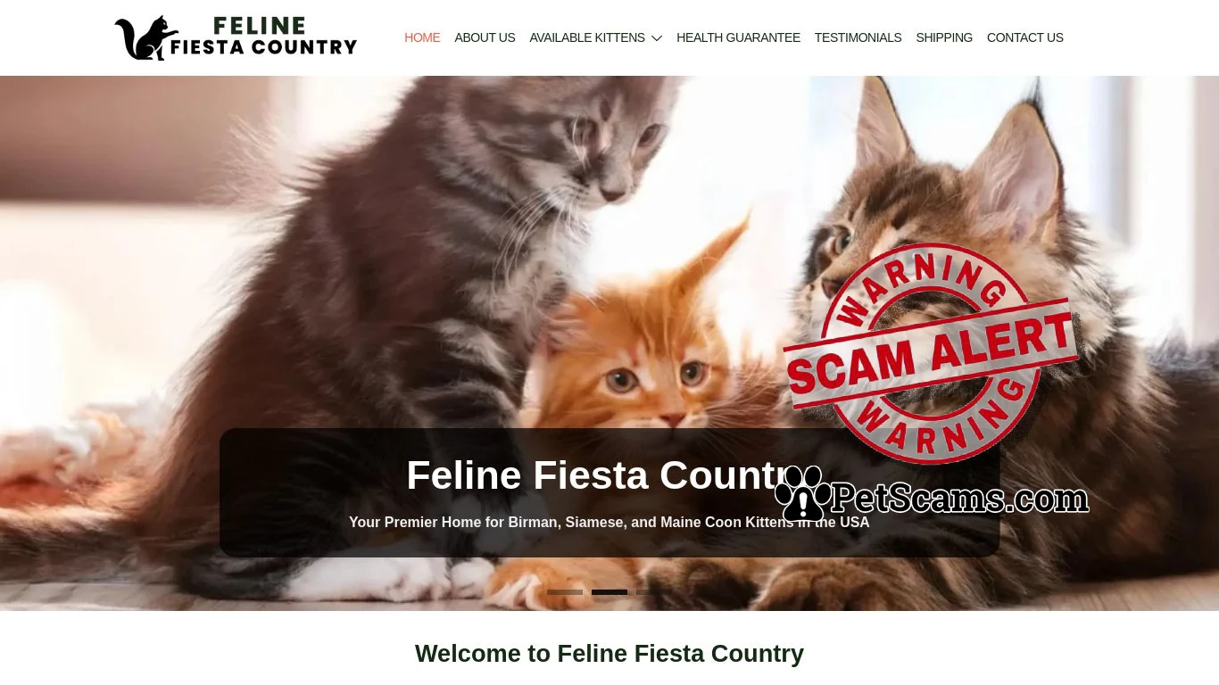 Scam Website: Feline Fiesta Country – Birman, Siamese, and Maine Coon Kittens for sale USA