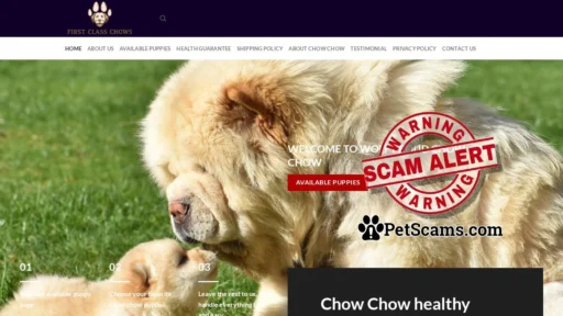 Scam Website: First Class Chows – cheap chow chow puppies for sale online