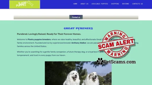 Scam Website: Golden Retriever Puppies for sale – Golden Retriever Breeders