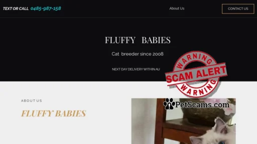 Scam Website: Home