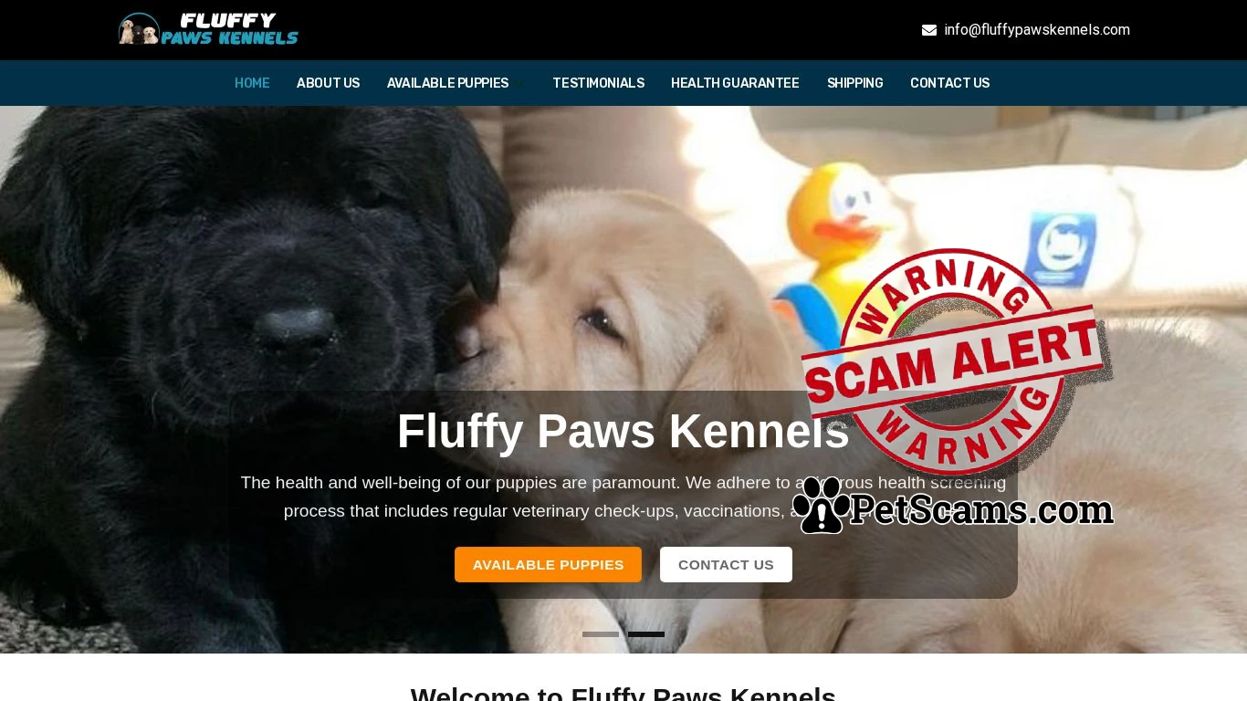 is Fluffy Paws Kennels – Labrador Retriever Puppies for sale legit? screenshot