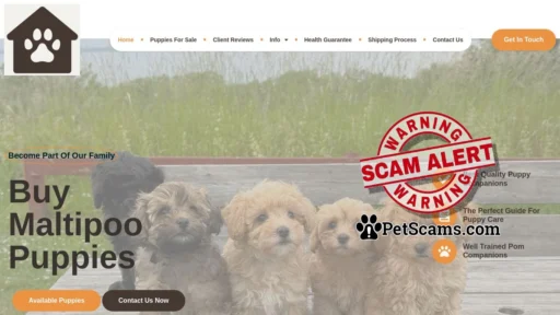 Scam Website: Fluffy Royals – Maltipoo puppies for sale!