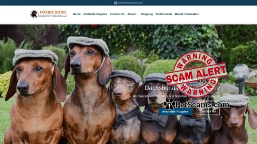 Scam Website: Foxies Doxie – Dachshund puppies for sale