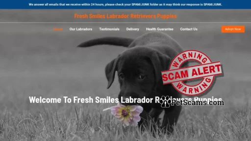 Scam Website: Fresh Smiles Labrador Retrievers Puppies – Purebred Labrador Retrievers For Sale