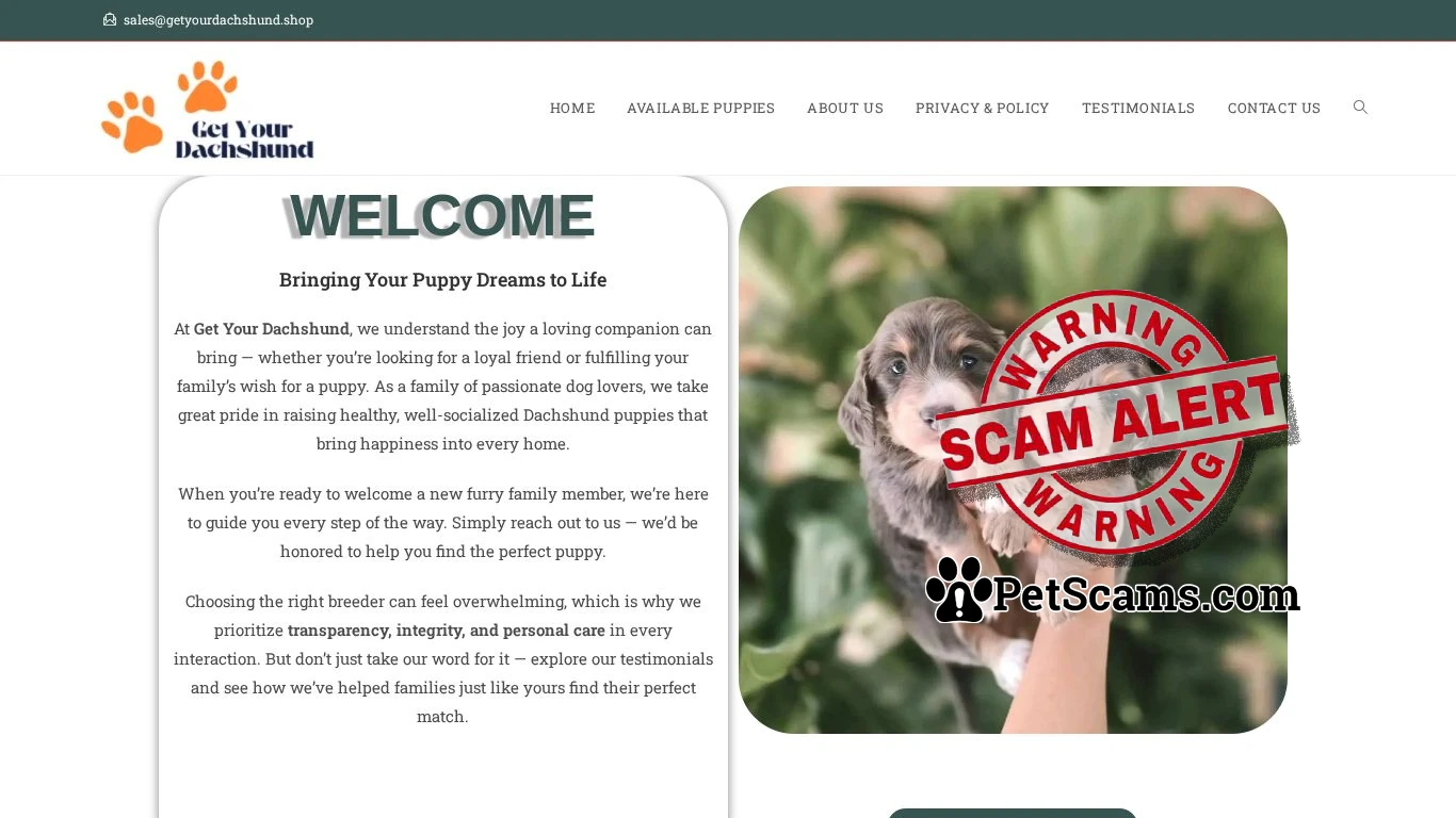 is Get your Dachshund – Registered Dachshund Breeder. legit? screenshot