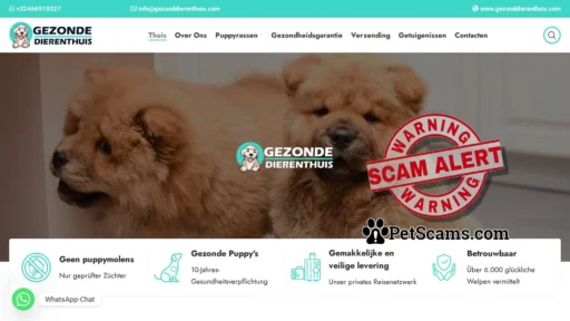 Scam Website: Gezonde Puppy’s