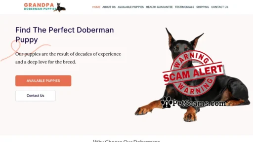 Scam Website: Home | Grandpa Doberman Puppies