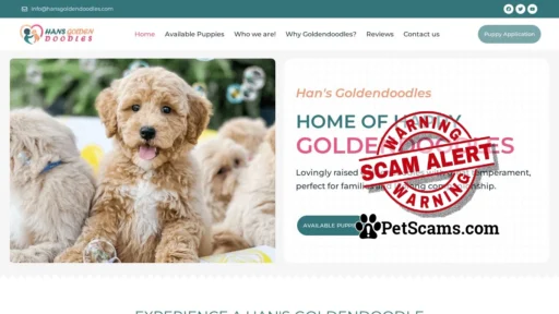 Scam Website: Goldendoodles - Han's Goldendoodles LCC
