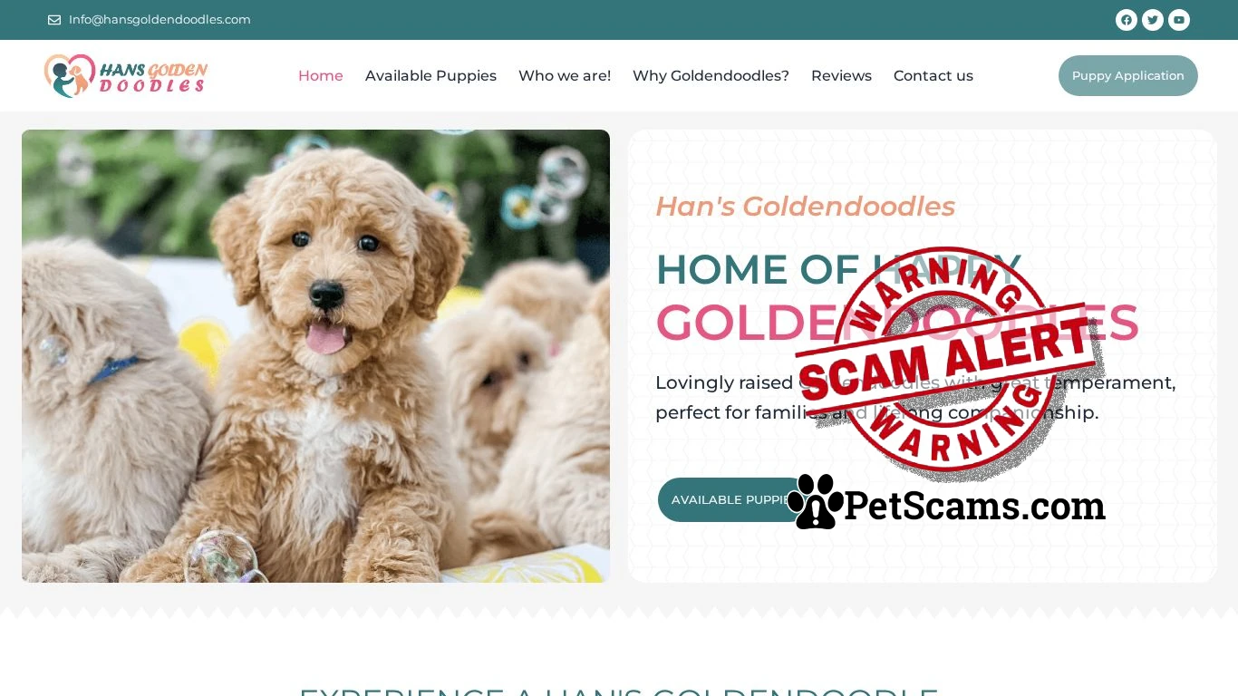 is Goldendoodles - Han's Goldendoodles LCC legit? screenshot