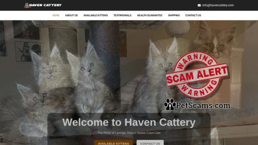 Scam Website: Haven Cattery – Maine coon kittens for sale