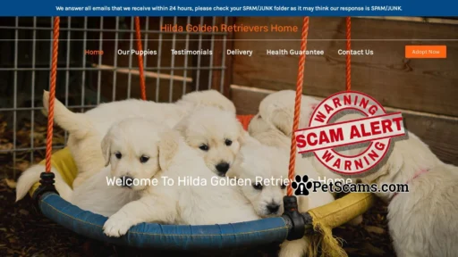 Scam Website: Hilda Golden Retrievers Home – Purebred Golden Retrievers For Sale