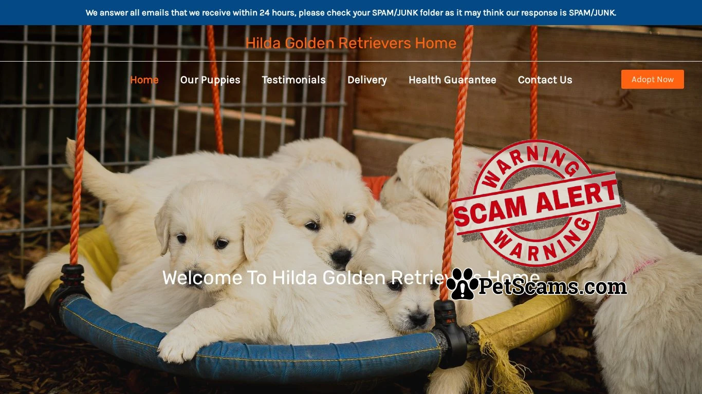 is Hilda Golden Retrievers Home – Purebred Golden Retrievers For Sale legit? screenshot