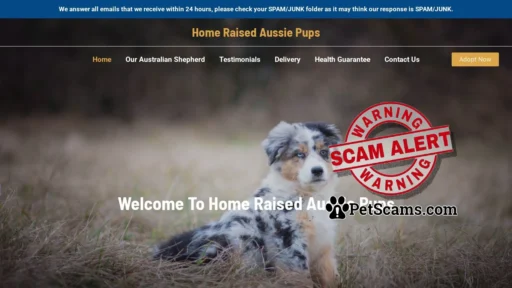 Scam Website: Home Raised Aussie Pups – Australian Shepherd For Sale