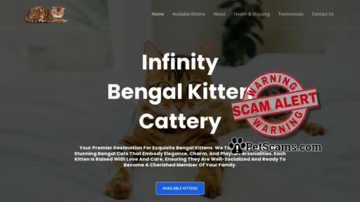 Scam Website: Infinity Bengal Kittens Cattery – Bengal Kittens For Sale