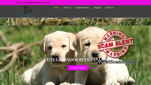 Scam Website: Iris Labrador Retriever Home – Home of Labrador Retriever