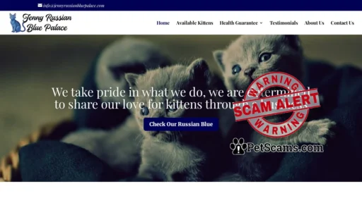 Scam Website: jennyrussianbluepalace.com | Russian Blue Kittens for sale online