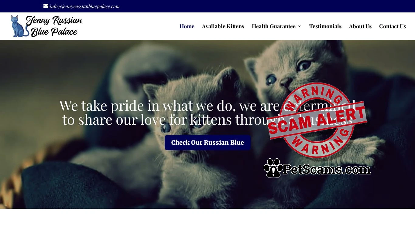 Scam Website: jennyrussianbluepalace.com | Russian Blue Kittens for sale online