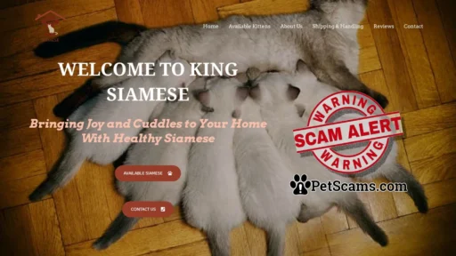 Scam Website: King Siamese – Only Luxury Kittens