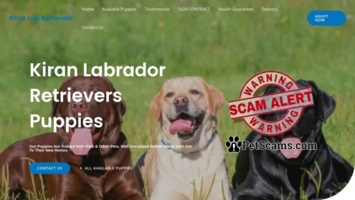 Scam Website: Kiran Lab Retrievers – Purebred Labrador Retrievers Puppies For Sale