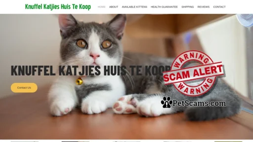 Scam Website: Knuffel Katjies Huis Te Koop