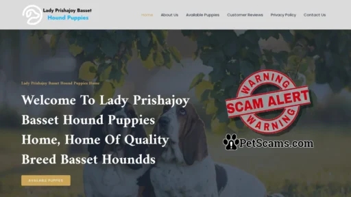 Scam Website: Lady Prishajoy Basset Hound Puppies Home