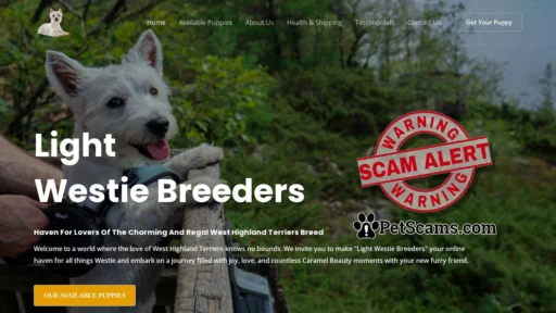 Scam Website: Light Westie Breeders – West Highland Terriers Breeder