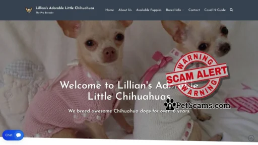 Scam Website: Home - Lillian's Adorable Little Chihuahuas