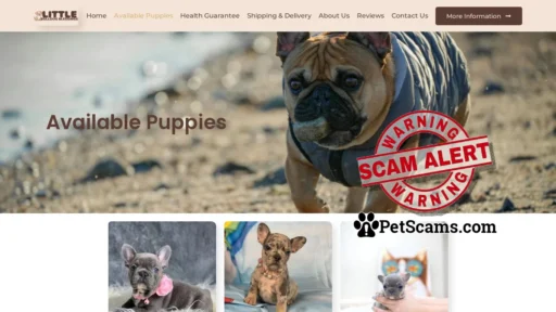 Scam Website: Little Bulldog Blessings