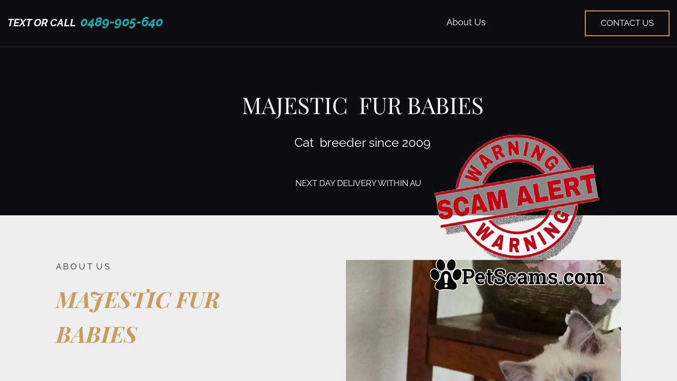 Scam Website: Home