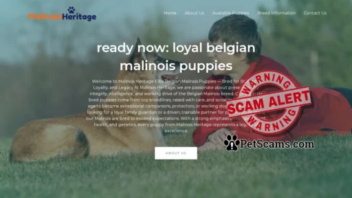 Scam Website: Malinois Heritage – Welcome to Malinois Heritage Elite Belgian Malinois Puppies