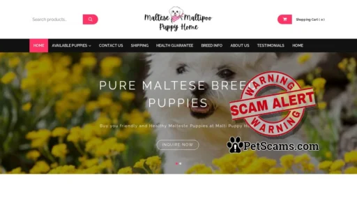 Scam Website: Home - Maltese/Malti Puppy Home