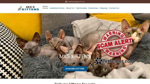 Scam Website: Home | MKS Kittens