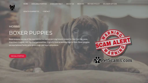 Scam Website: Morris Boxer Puppies – Boxer Puppies