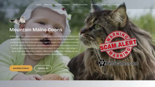 Scam Website: Mountain Maine Coons – Maine Coon Kittens For Sale