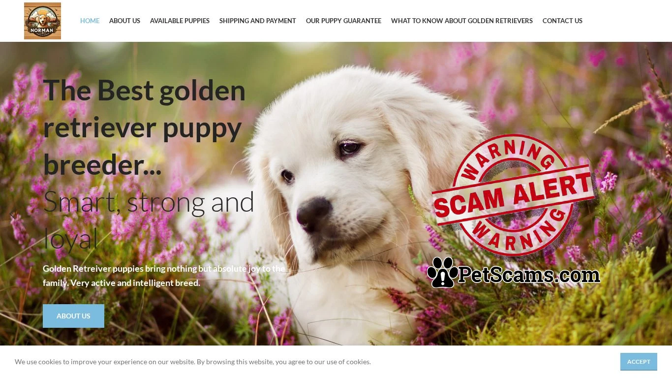 is Normangoldenretrieverkennel legit? screenshot