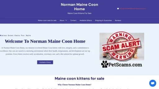 Scam Website: Adorable Maine Coon Cats For Sale At Sonia Maine Coon Home