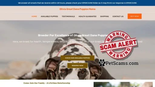 Scam Website: Olivia Great Dane Puppies Home – Great Dane Puppies For Sale