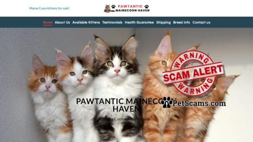 Scam Website: Pawtantic Mainecoon Haven – Maine Coone Kittens for sale